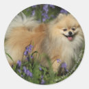 Search for bluebell stickers Panting