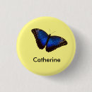 Search for morpho badges Insect