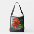 Search for orange daisy bags Flower