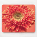 Search for red gerbera electronics Botanical