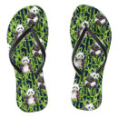 Search for bear shoes Asia