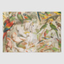 Search for ara gift wrap Macaw