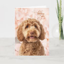Search for goldendoodle cards Dogs