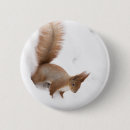 Search for squirrel badges Pet