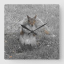 Search for squirrel clocks Whimsical