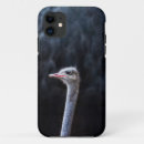 Search for ostrich cases Birds