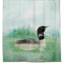 Search for common loon home living Bird