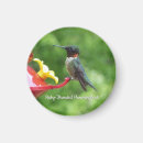 Search for ruby throated magnets Nature