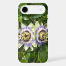 Search for passion flower iphone cases Botanical