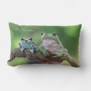 Search for frog cushions Cool