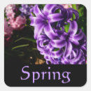 Search for spring bulbs labels Flower