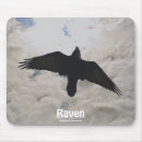 Search for raven mousepads Crows