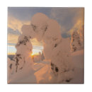 Search for snow tiles Scenic
