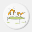 Search for trampolining magnets Jump