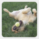Search for carefree stickers Enjoyment