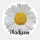 Search for white daisy flower stickers Trendy