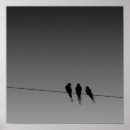 Search for birds wire birds wire art Silhouette