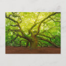 Search for south carolina state cards United states