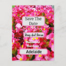 Search for begonia postcards Flora
