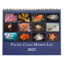 Search for sea life calendars Pacific