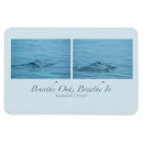 Search for outing magnets Blue