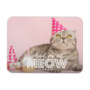 Search for cat rectangular magnets Fun