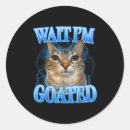 Search for funny cat meme stickers Viral