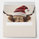 Search for cow envelopes Cute