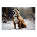 Search for staffordshire bull terrier posters Pet