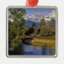 Search for bison christmas tree decorations Montana