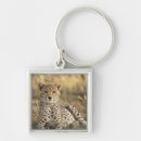 Search for acinonyx key rings Nature