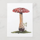 Search for fly agaric postcards Red