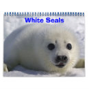 Search for seal calendars Cute