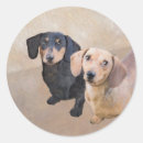 Search for dachshund puppy stickers Wiener