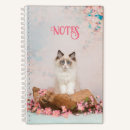 Search for persian notebooks Cat