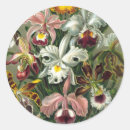 Search for rainforests stickers Botany