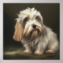 Search for griffon dog breed Petit