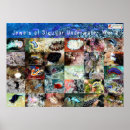 Search for jewels posters Sea