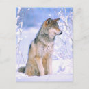 Search for timber cards Dog