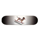 Search for dachshund skateboards Funny