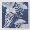 Search for jellyfish clocks Ocean