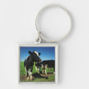 Search for holstein cow key rings Agriculture