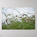 Search for weed posters Flowers