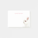 Search for white dwarf Rabbit