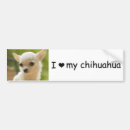 Search for cute animals bumper stickers Car