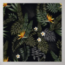 Search for tropical flowers posters Jungle