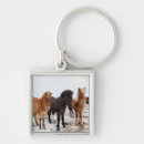 Search for icelandic horses key rings Equus caballus