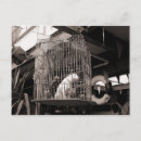Search for caged postcards Animals