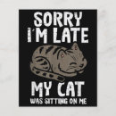 Search for cat advice cards Pet