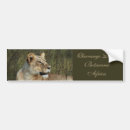 Search for safari bumper stickers Wildlife